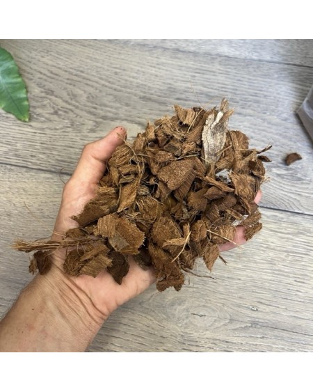 Podłoże kokosowe  Coco Plug